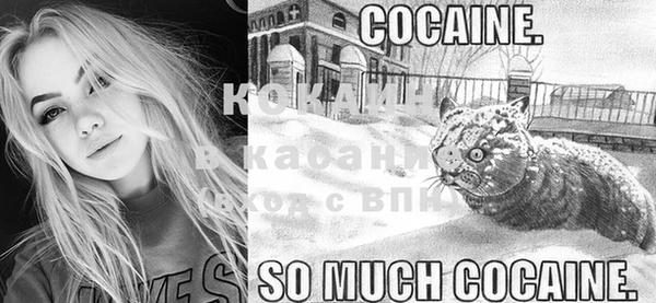 скорость Коряжма