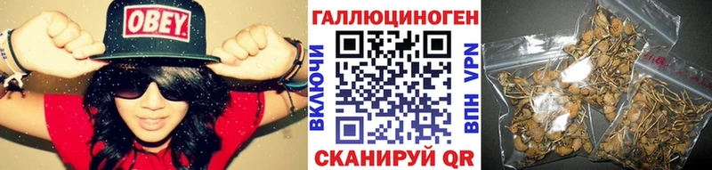 гидра ССЫЛКА  Шацк  Псилоцибиновые грибы Cubensis 